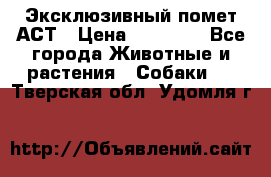 Эксклюзивный помет АСТ › Цена ­ 30 000 - Все города Животные и растения » Собаки   . Тверская обл.,Удомля г.